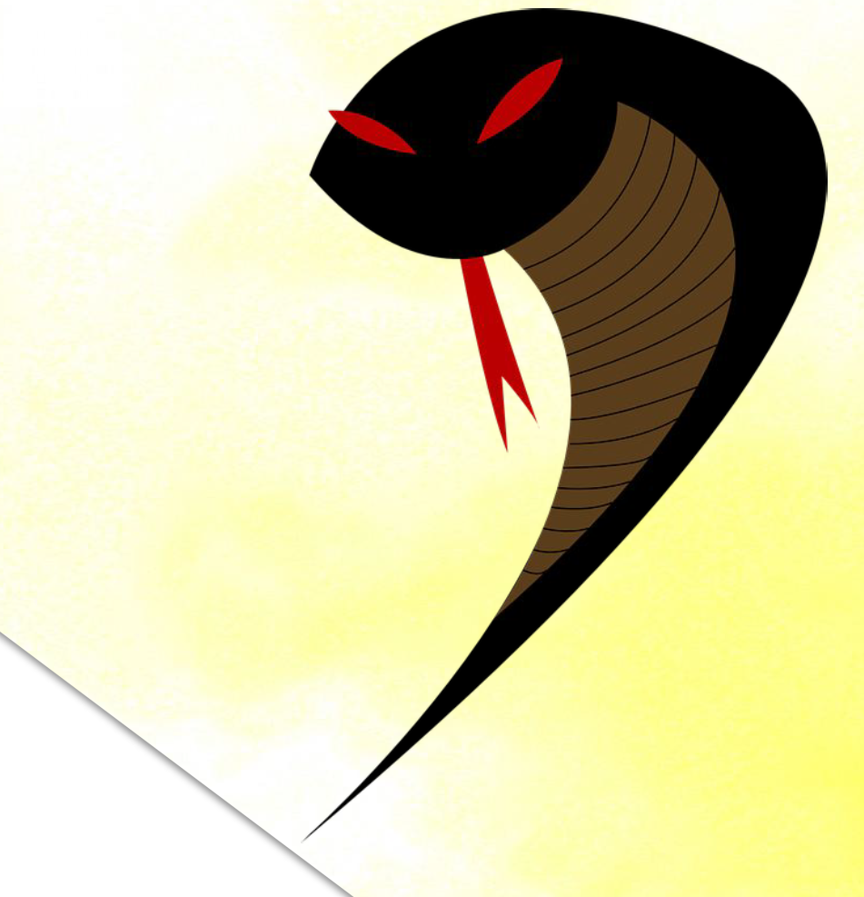 The Viper Project